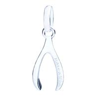 Links of London Silver Wishbone Charm 5030.1809