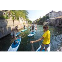 Ljubljana Stand-Up Paddle Boarding Lesson and Tour