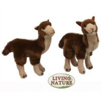 Llama Plush Soft Toy Animal