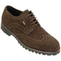 LLOYD Varas GTX testa di moro