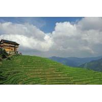 Longji Rice Terraces and Long Hair Village Private Day Tour