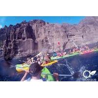 Los Gigantes Cliffs Kayak Tour in Tenerife
