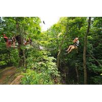 Long Point Bay Zip Line Canopy Tour