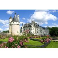 Loire Valley Castles in One Day from Paris