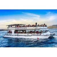 los cabos breakfast snorkel cruise