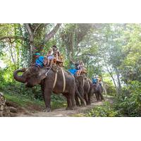 Long Trek Exclusive Elephant Safari at the Bali Zoo Including Hotel Transfer and Lunch