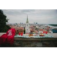 Local Secrets of Bratislava Small Group Tour Including Picnic and a Trolleybus ride