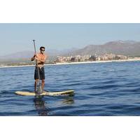 Los Cabos Stand-Up Paddleboard Lesson