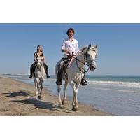 los cabos horseback riding