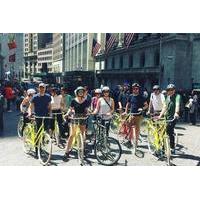 Lower Manhattan Bike Tour from Brooklyn