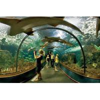 loro parque admission ticket with round trip transport and optional si ...