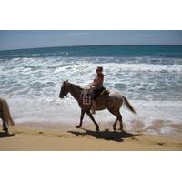 los cabos shore excursion horseback riding adventure