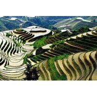 Longji Rice Terraces and Pingan Zhuang Village Day Tour