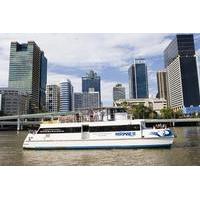 Lone Pine Koala Sanctuary Admission with Brisbane River Cruise
