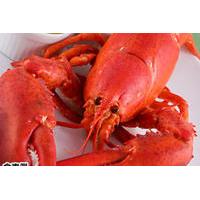 Lobster Dinner and Jazz Night Tour with Japanese Guide - Mybus