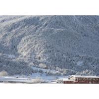L\'OBAGA BLANCA
