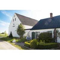 Logi Gamleg&Atilde;&yen;rd