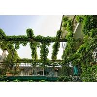 LOCANDA PARADISO - BB