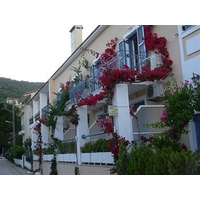 Louisa Apartments