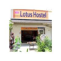Lotus Hostel