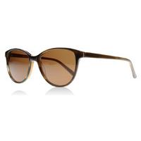 London Retro Piccadilly Sunglasses Mid Horn