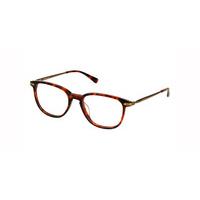 lozza eyeglasses vl1995 0l95