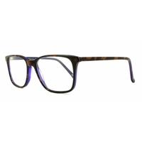 London Retro Highgate Purple/Tortoise