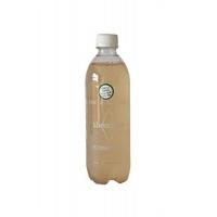 love kombucha organic ginger 250ml