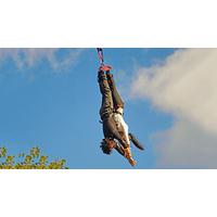 lovers leap bungee jump in northern ireland