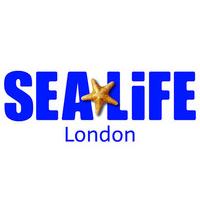 London SEA LIFE Aquarium and Lunch at Azzurro for Two