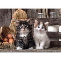 lovely kittens high quality collection 1000 piece jigsaw