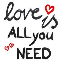 \'Love is all you need\' Napkins