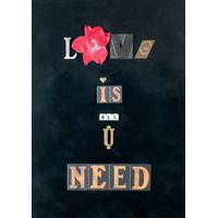 Love Is All You Need By Fola Akinsola