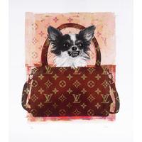 Louis Vuitton Dog By Shannan Gia