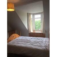 Lovely double room close to ARI parks and city centre. Popular Rosemount area.
