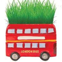 London Bus Grass Kit (each)
