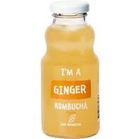 Love Kombucha Ginger (250ml)