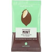 loving earth mint dark chocolate 30g