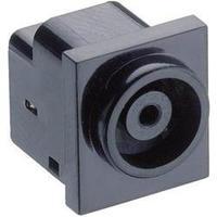 Low power connector Switch contact type: Normally-closed Socket, horizontal mount 7 mm 4 mm Lumberg 1613 11 1 pc(s)