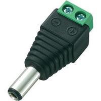 Low power connector Plug, straight 5.5 mm 2.5 mm Conrad Components DC-13M 1 pc(s)