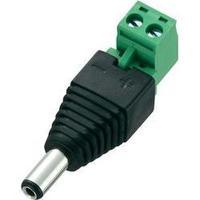 Low power connector Plug, straight 5.5 mm 2.1 mm Conrad Components DC12-M 1 pc(s)