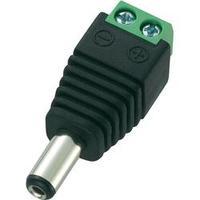Low power connector Plug, straight 5.5 mm 2.1 mm Conrad Components DC14-M 1 pc(s)