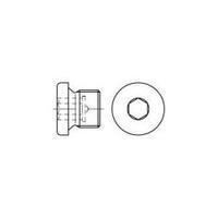 Locking screws M16 Hex socket (Allen) DIN 908 Steel zinc galvanized 50 pc(s) TOOLCRAFT 112729