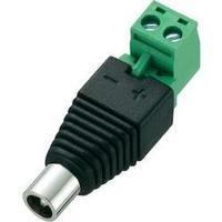 Low power connector Socket, straight 5.5 mm 5.5 mm 2.5 mm Conrad Components DC-11F 1 pc(s)