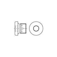 Locking screws M36 Hex socket (Allen) DIN 908 Steel 10 pc(s) TOOLCRAFT 112702