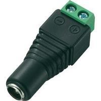 Low power connector Socket, straight 5.5 mm 5.5 mm 2.5 mm Conrad Components DC-13F 1 pc(s)