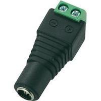 Low power connector Socket, straight 5.5 mm 5.5 mm 2.1 mm Conrad Components DC14-F 1 pc(s)