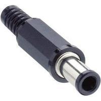 Low power connector Plug, straight 5.5 mm 3.3 mm Lumberg 1636 04 1 pc(s)
