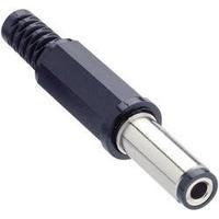 Low power connector Plug, straight 5.5 mm 2.5 mm Lumberg XNES/J 250 1 pc(s)