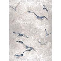 louise body wallpapers flight chalk flight chalk